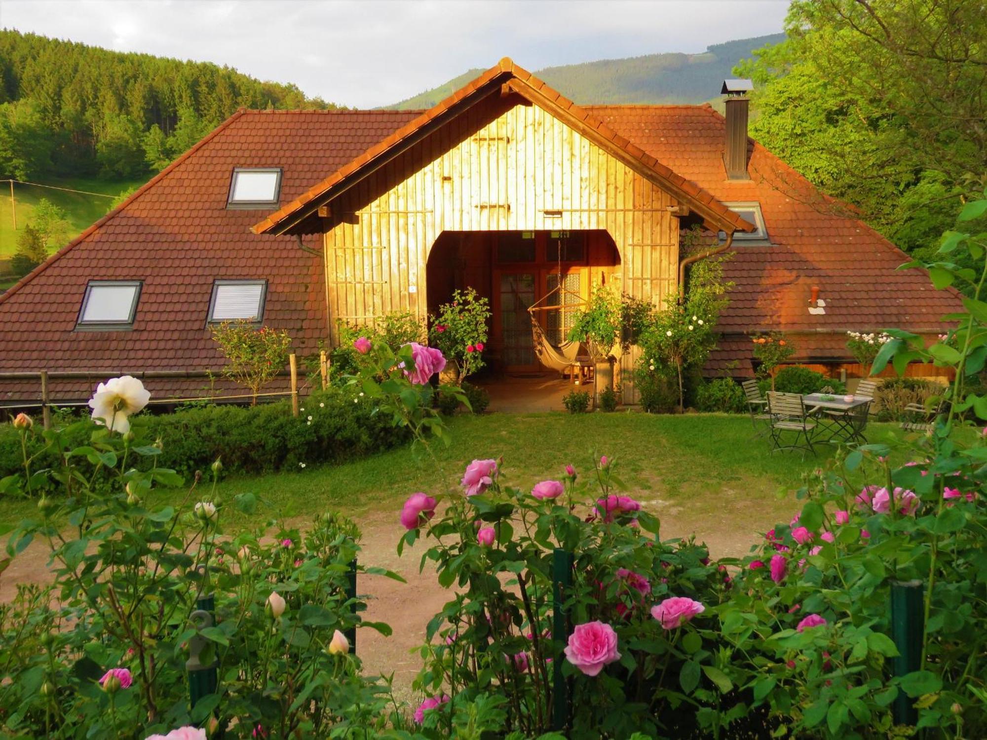 Hernis-Höfle Elzach Exterior foto