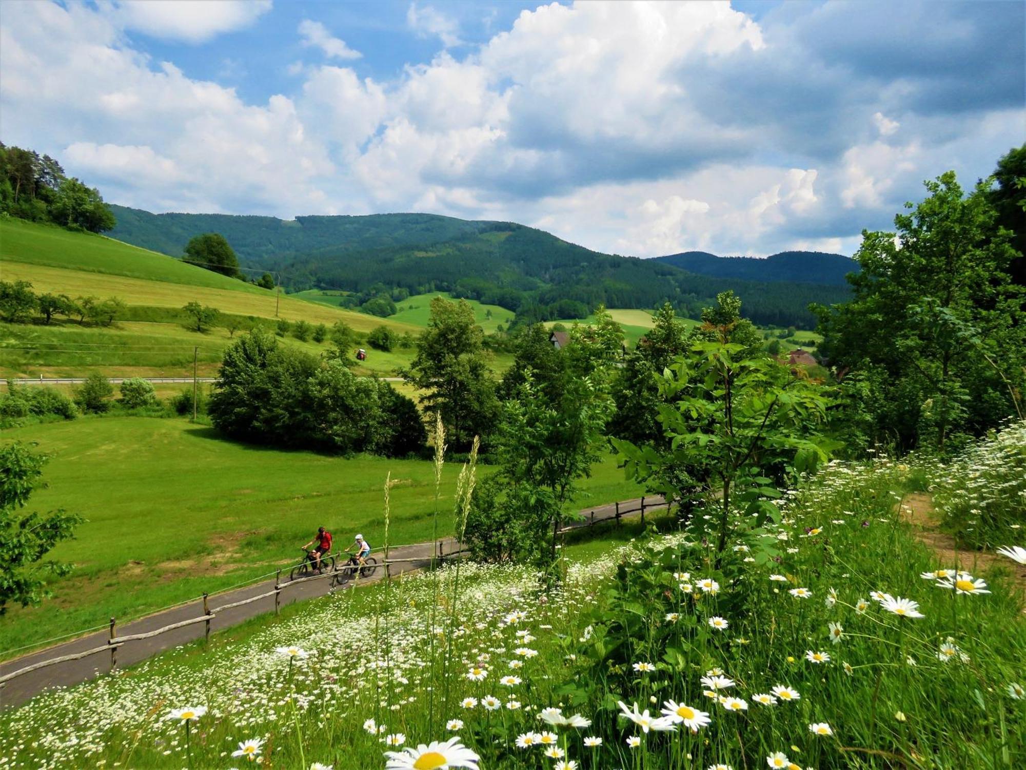 Hernis-Höfle Elzach Exterior foto