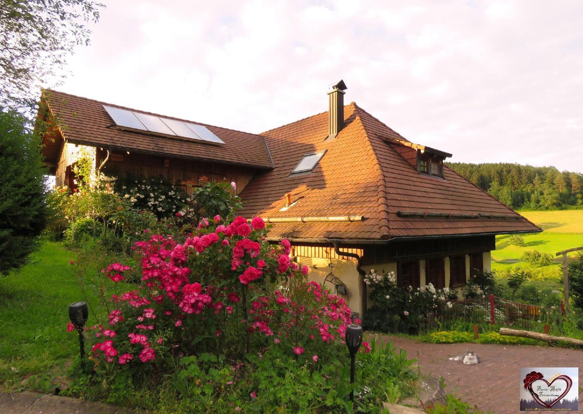 Hernis-Höfle Elzach Exterior foto