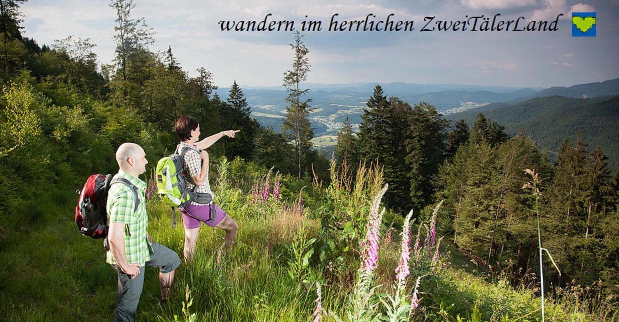 Hernis-Höfle Elzach Exterior foto