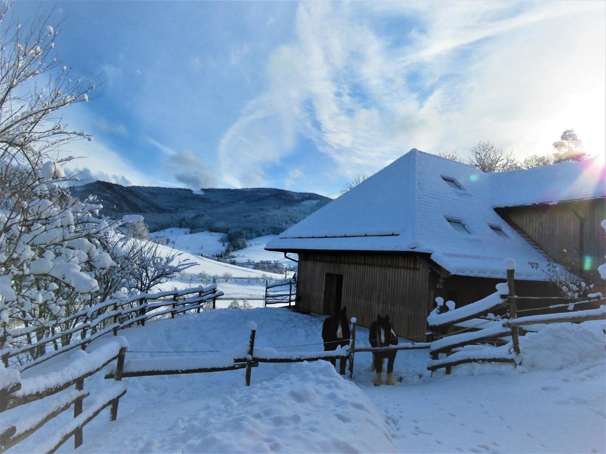 Hernis-Höfle Elzach Exterior foto